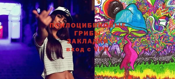 spice Алексин