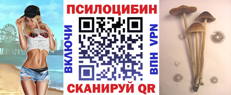 Галлюциногенные грибы Psilocybe  Павлово 